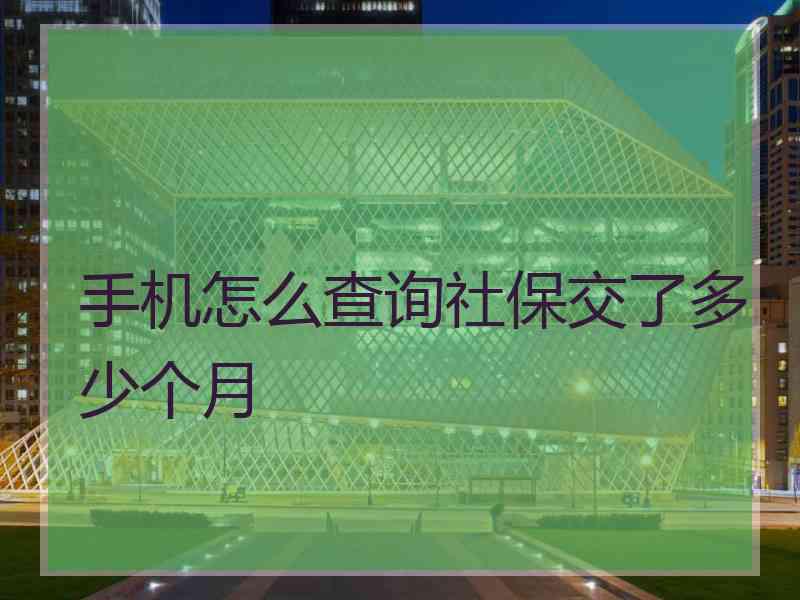 手机怎么查询社保交了多少个月