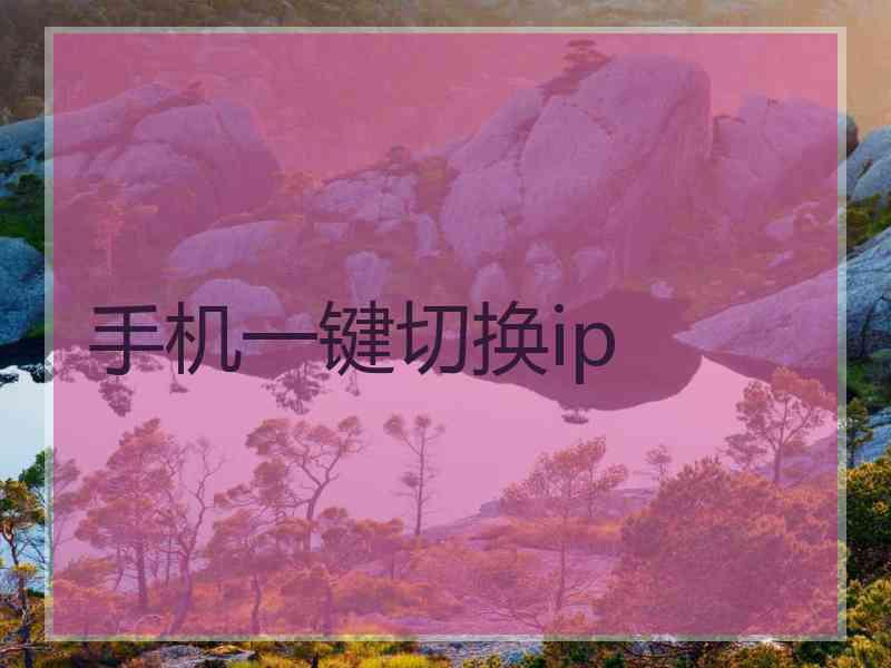 手机一键切换ip