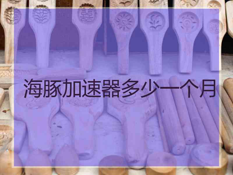 海豚加速器多少一个月