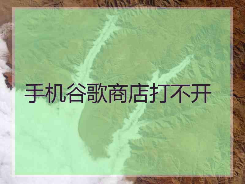 手机谷歌商店打不开