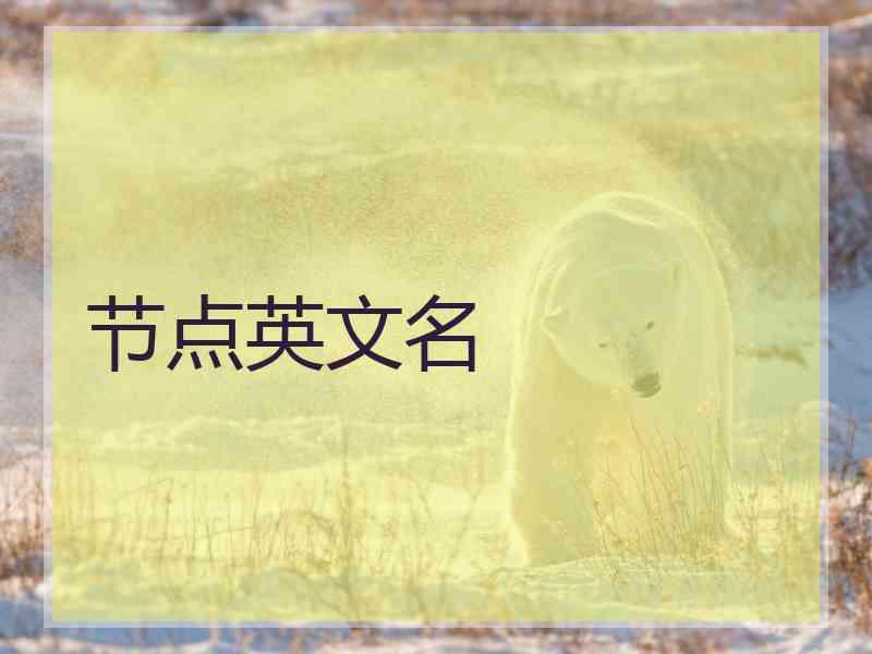 节点英文名