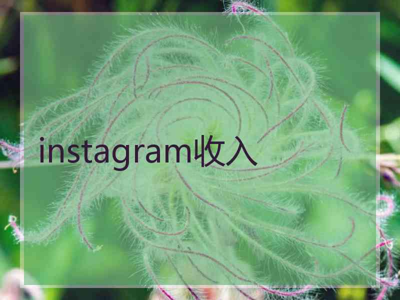 instagram收入