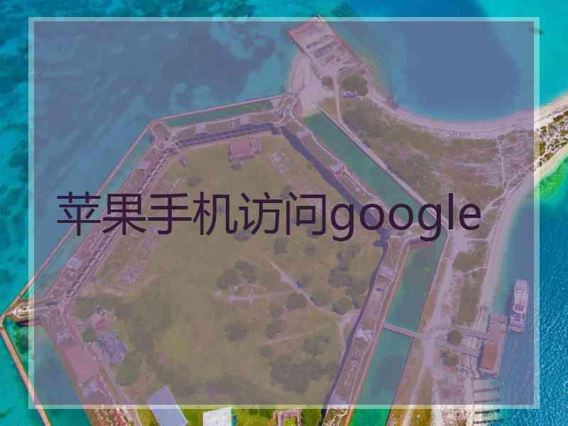 苹果手机访问google