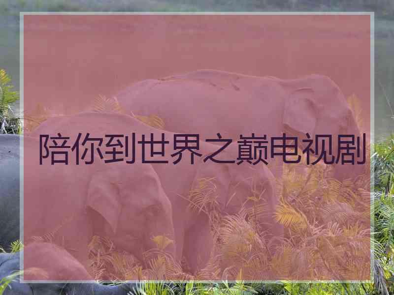 陪你到世界之巅电视剧