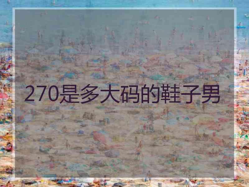 270是多大码的鞋子男