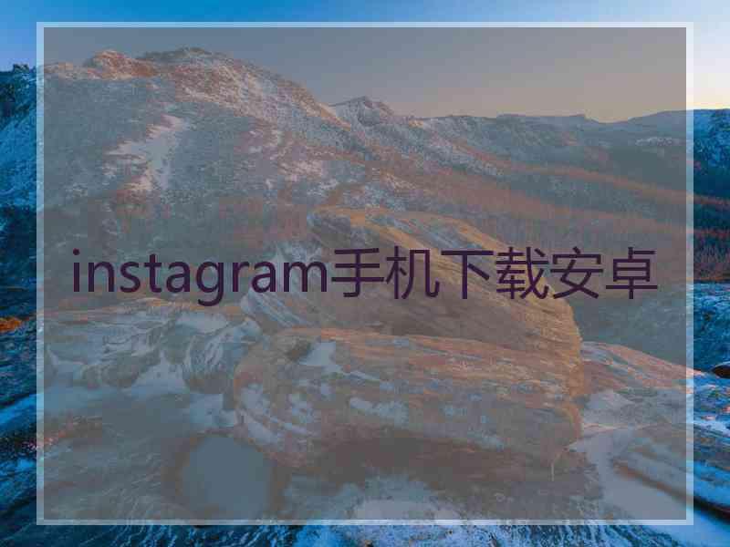 instagram手机下载安卓