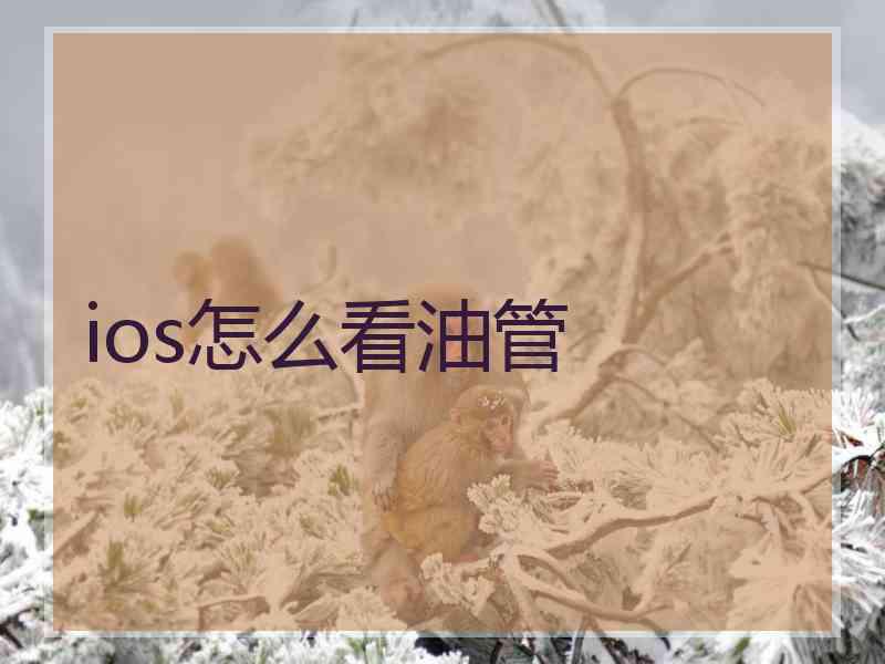 ios怎么看油管