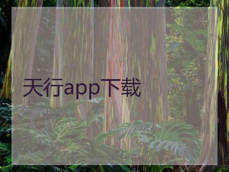 天行app下载