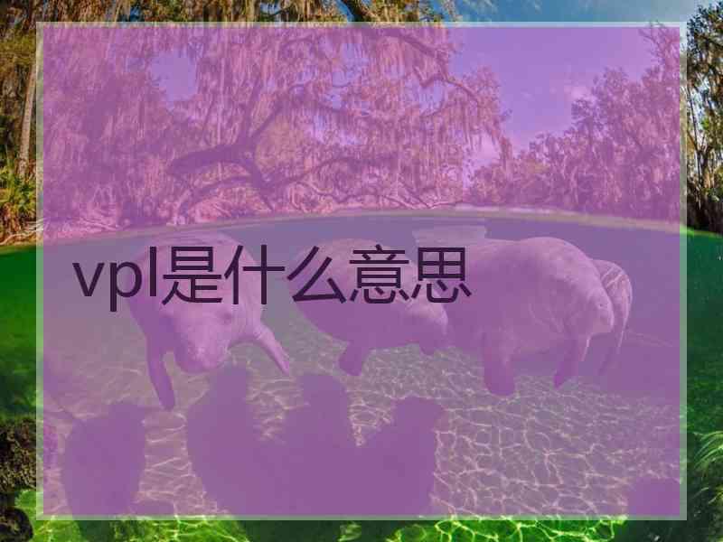 vpl是什么意思