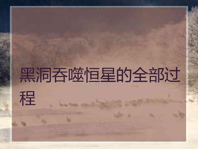 黑洞吞噬恒星的全部过程