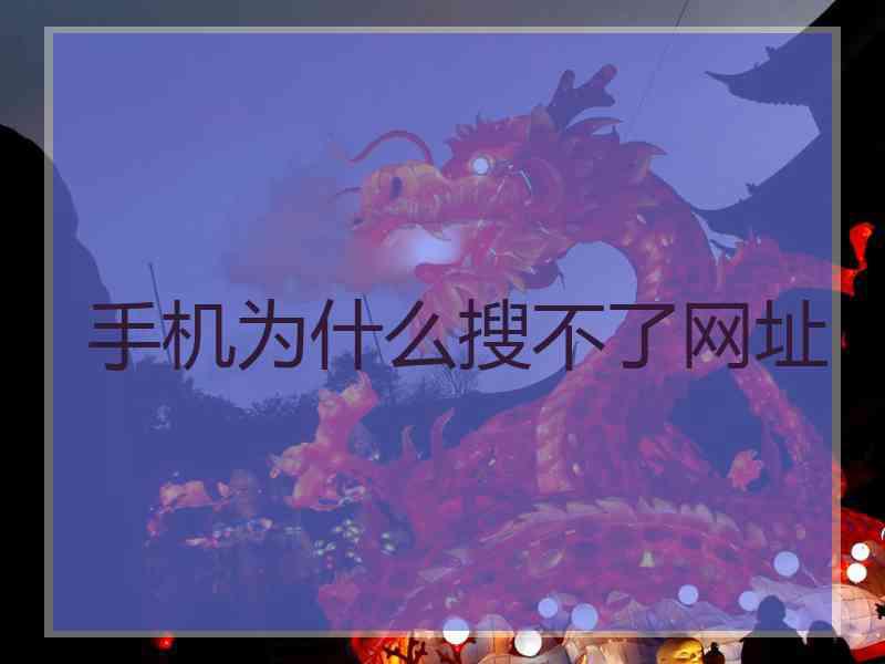 手机为什么搜不了网址