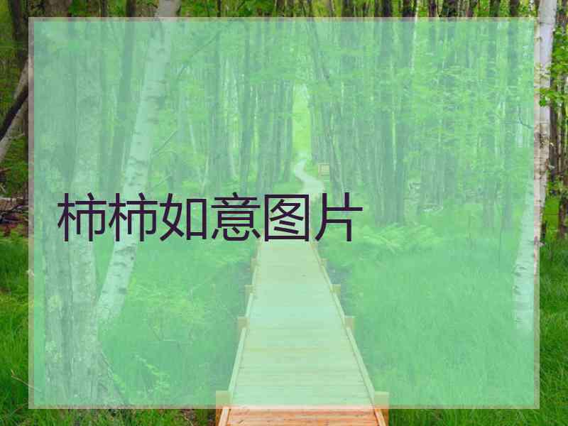 柿柿如意图片