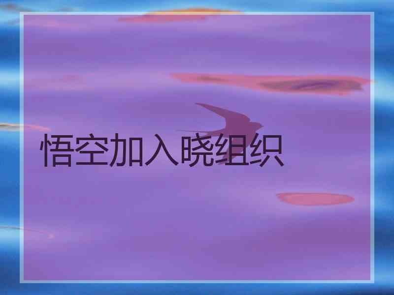 悟空加入晓组织