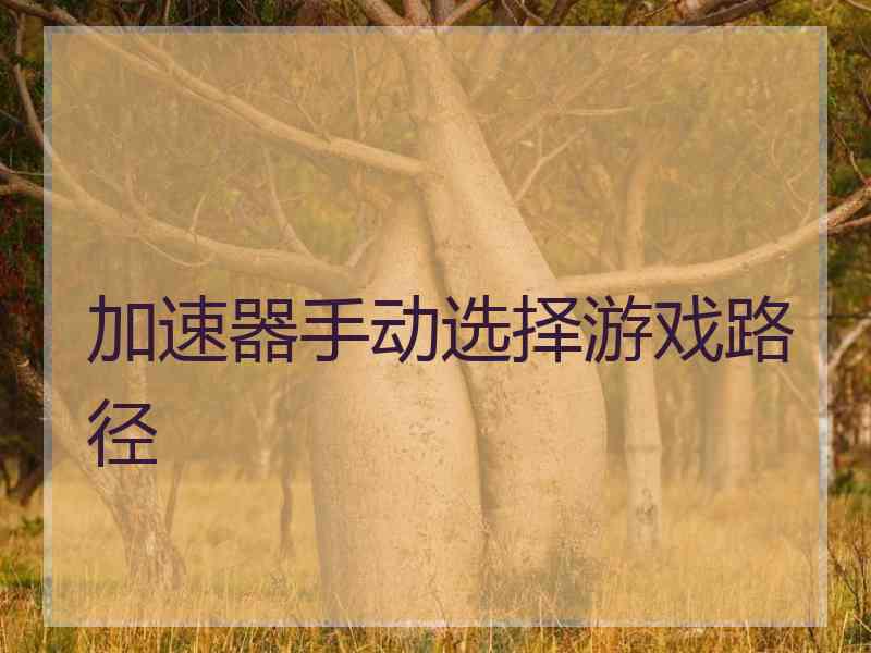 加速器手动选择游戏路径
