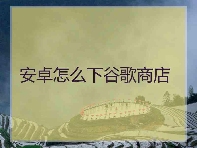 安卓怎么下谷歌商店