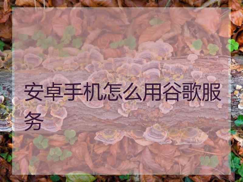 安卓手机怎么用谷歌服务