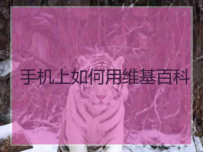 手机上如何用维基百科