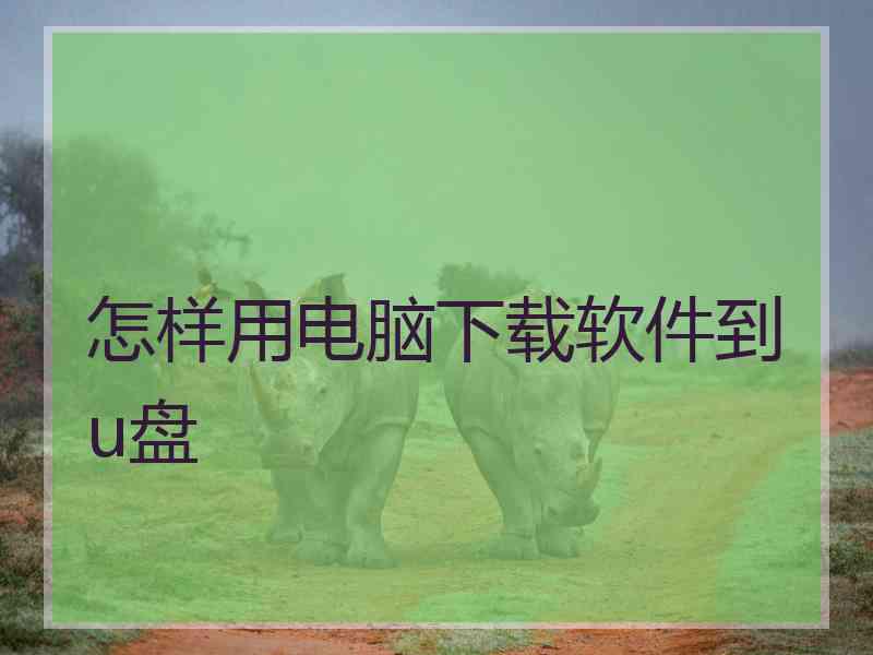 怎样用电脑下载软件到u盘