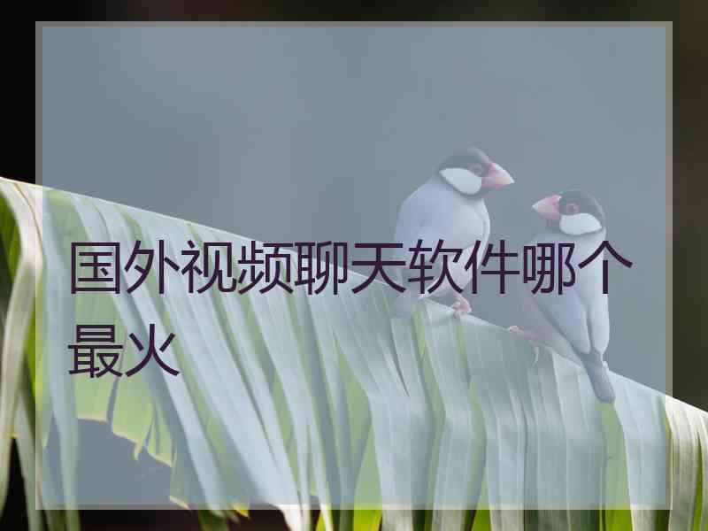 国外视频聊天软件哪个最火