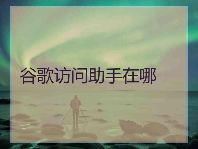 谷歌访问助手在哪