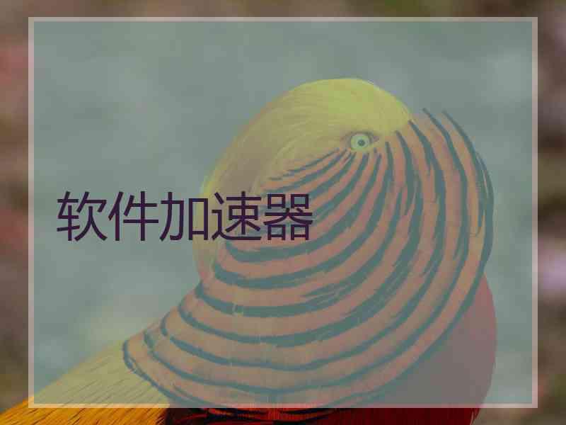 软件加速器