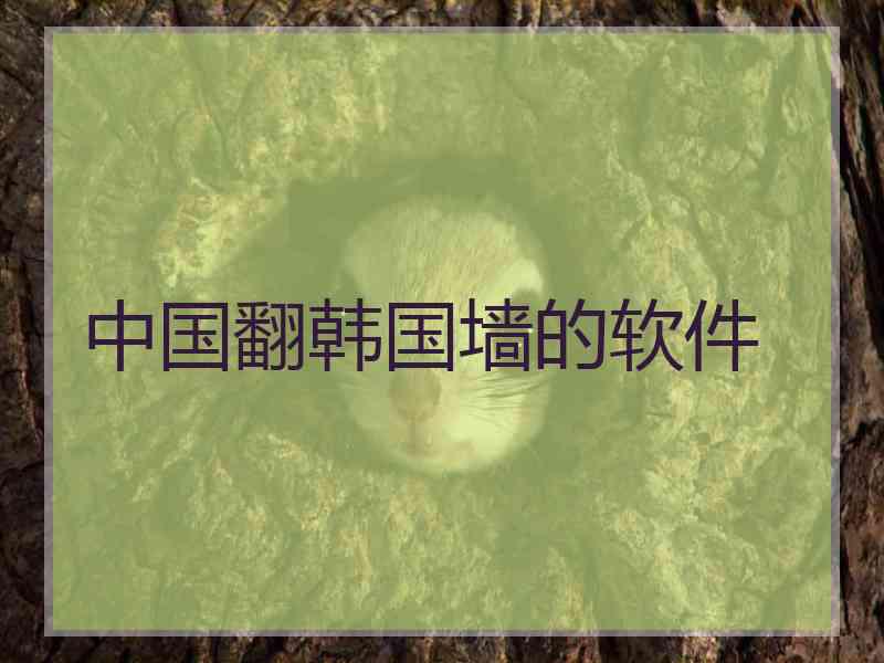 中国翻韩国墙的软件