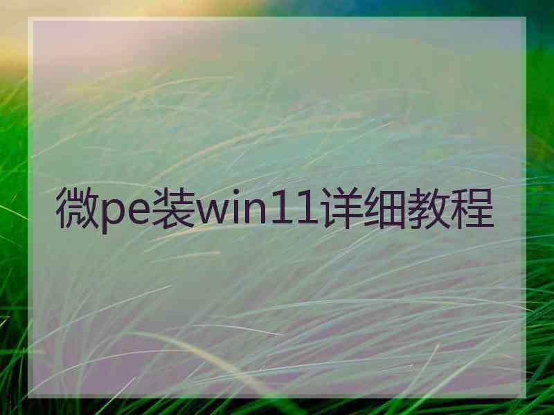 微pe装win11详细教程