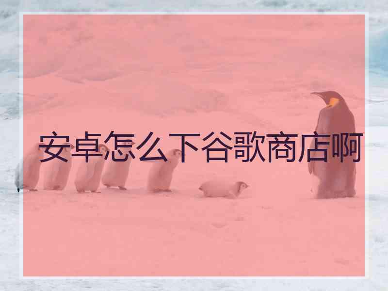 安卓怎么下谷歌商店啊