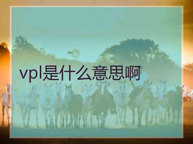 vpl是什么意思啊