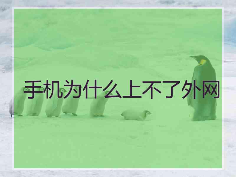 手机为什么上不了外网