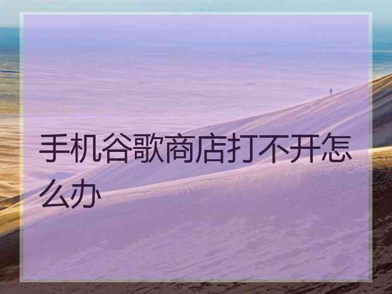 手机谷歌商店打不开怎么办
