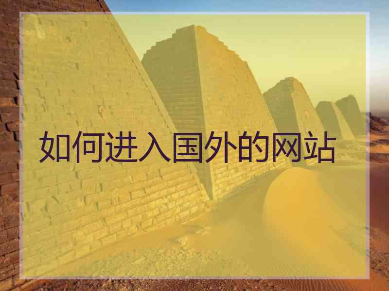 如何进入国外的网站