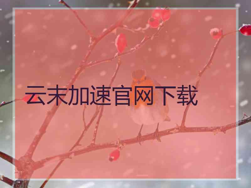 云末加速官网下载