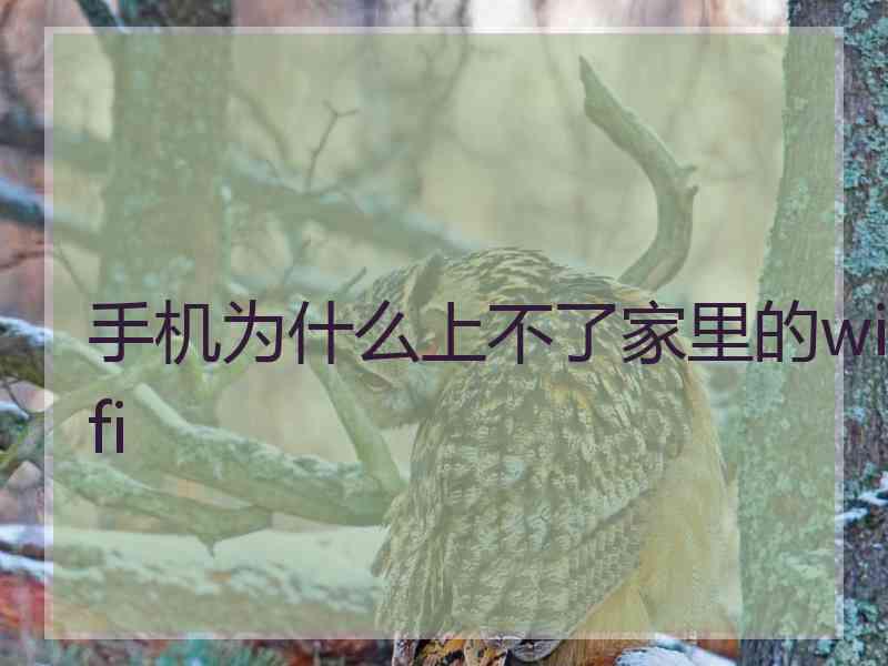 手机为什么上不了家里的wifi