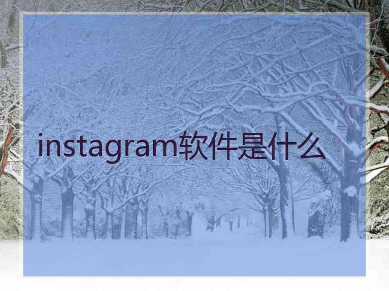 instagram软件是什么