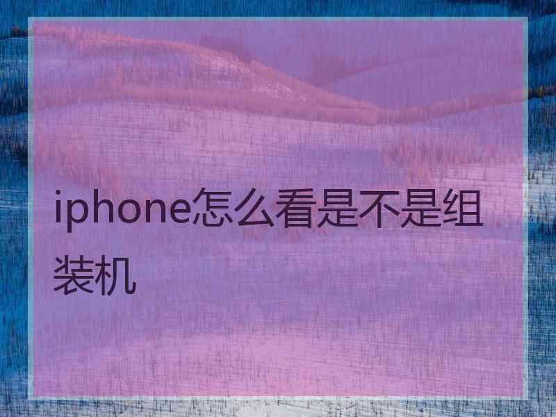 iphone怎么看是不是组装机