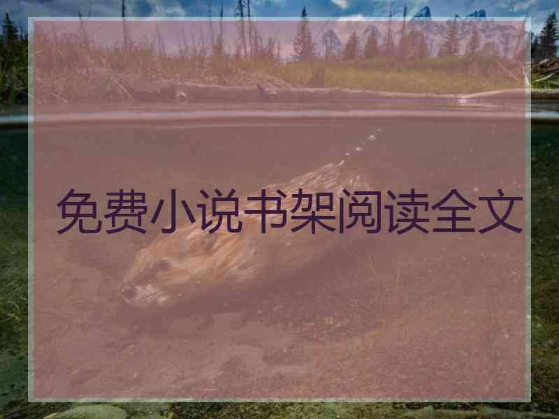 免费小说书架阅读全文
