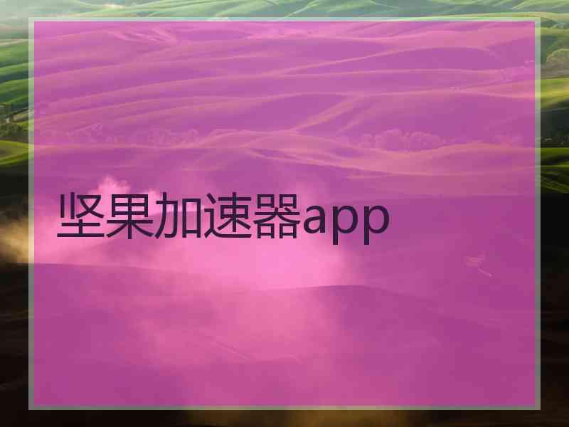 坚果加速器app