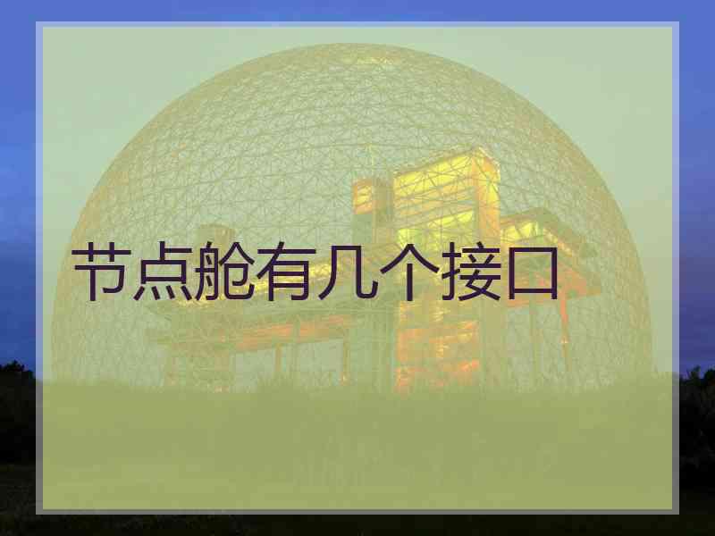 节点舱有几个接口