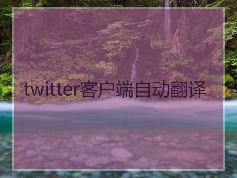 twitter客户端自动翻译