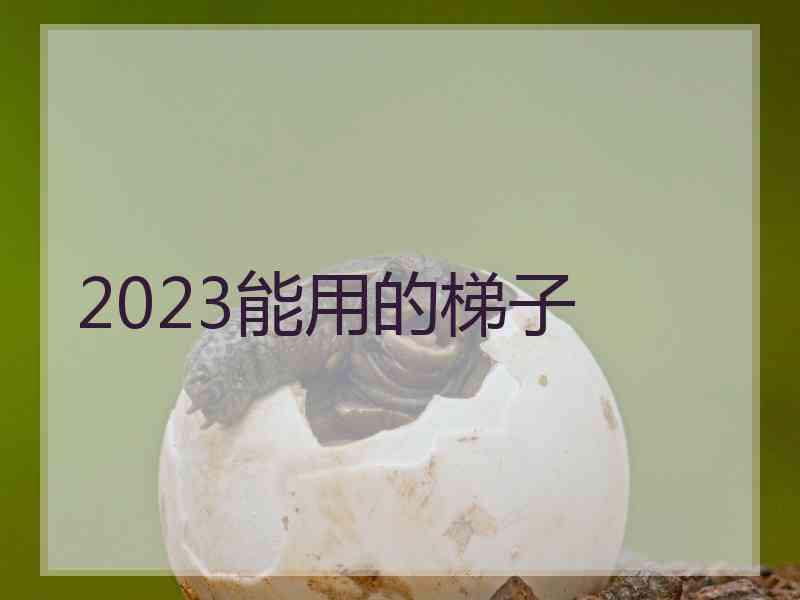 2023能用的梯子
