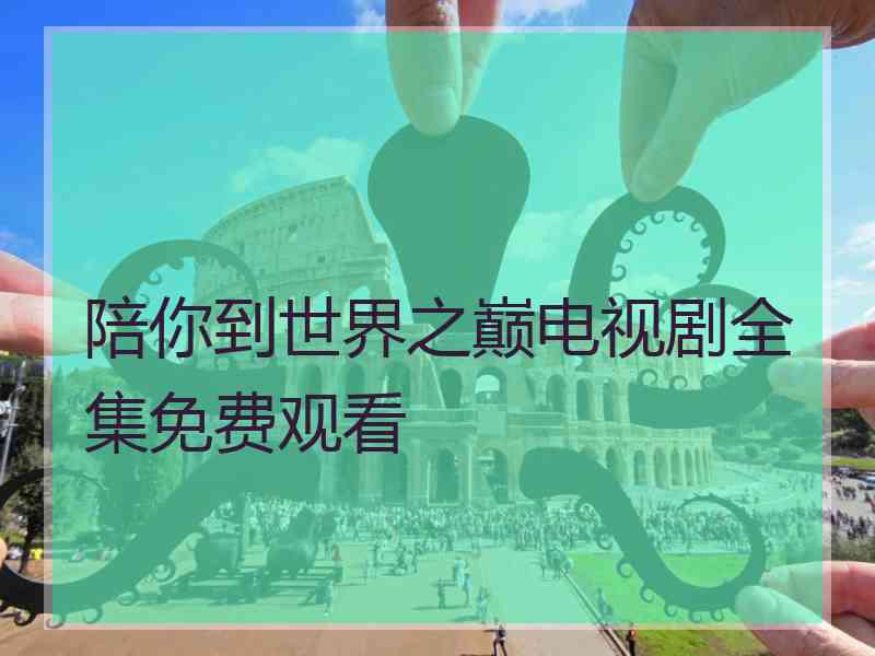 陪你到世界之巅电视剧全集免费观看